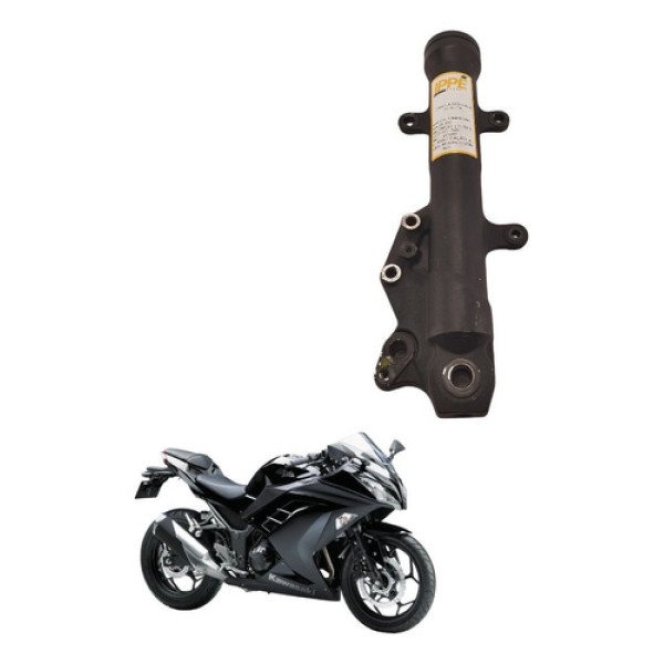 Canela Bengala Direita Kawasaki Ninja 300 2016