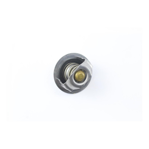 Valvula Termostatica Yamaha R6 (375)