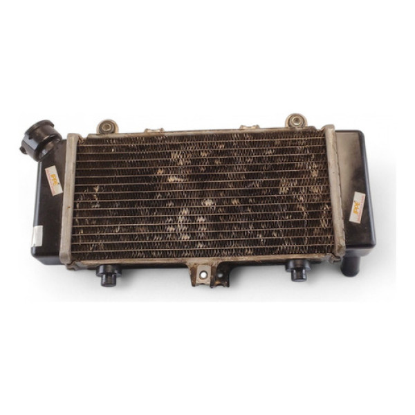 Radiador Dafra Next 250 2013