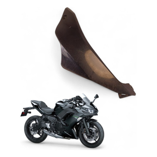 Spoiler Inferior Esquerdo Kawasaki Ninja 650 2021