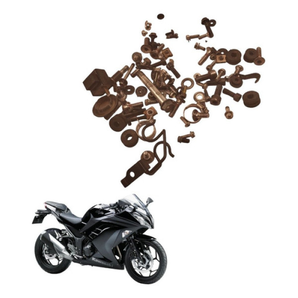 Kit Parafuso Chassi Kawasaki Ninja 300 2016