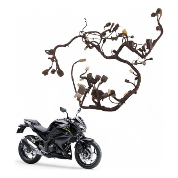 Chicote Principal Kawasaki Z300 2019 Com Avaria