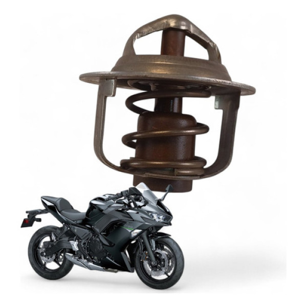 Válvula Termostática Kawasaki Ninja 650 2021