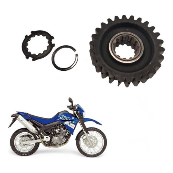 Engrenagem 5 Primaria Yamaha Xt 660 2007