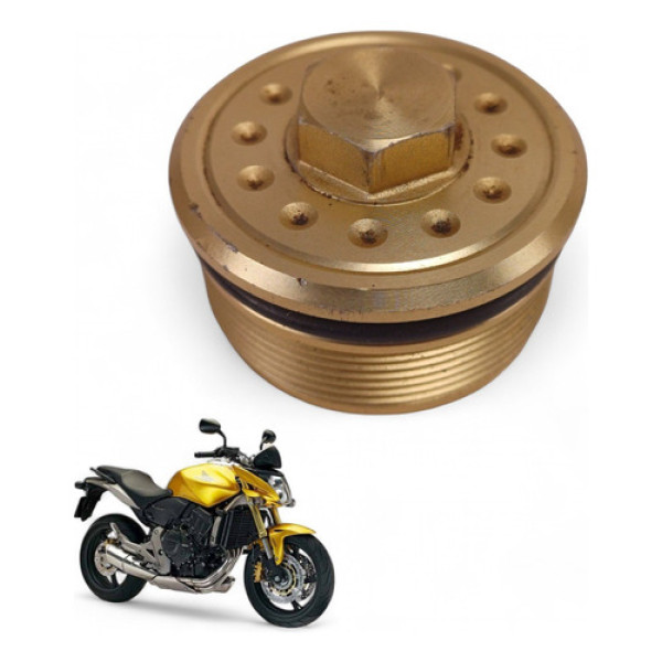 Tampa Bengala Honda Hornet 2009