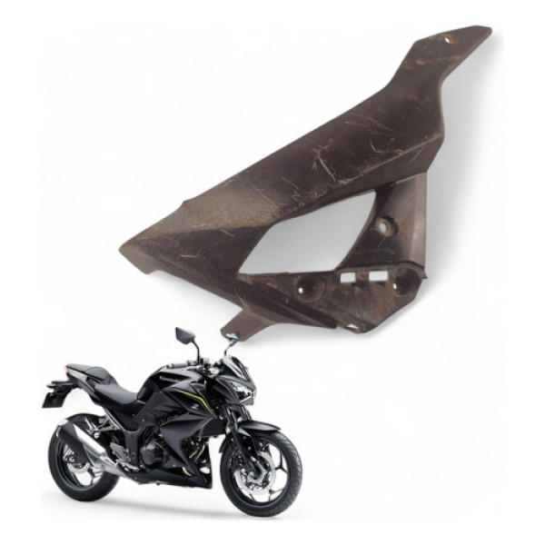 Spoiler Direito Kawasaki Z300 2019