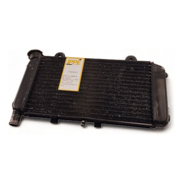 Radiador Yamaha Mt 03 660 2008