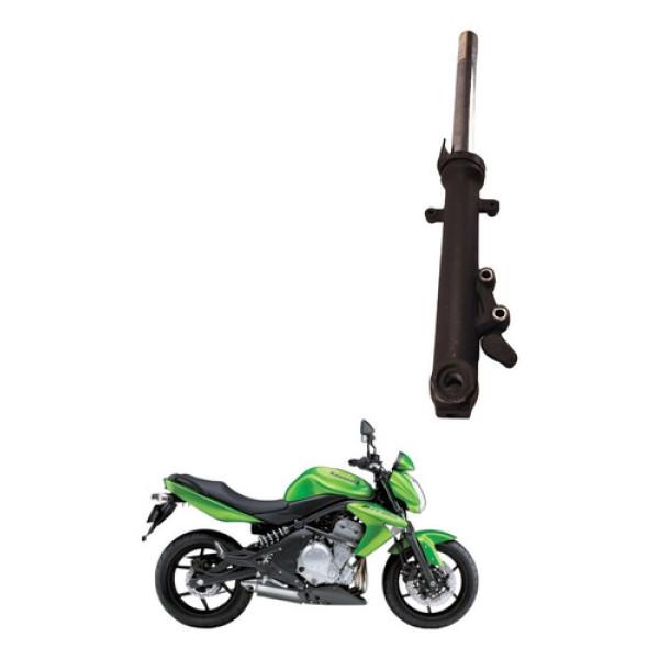 Bengala Esquerda Kawasaki Er-6n 2012