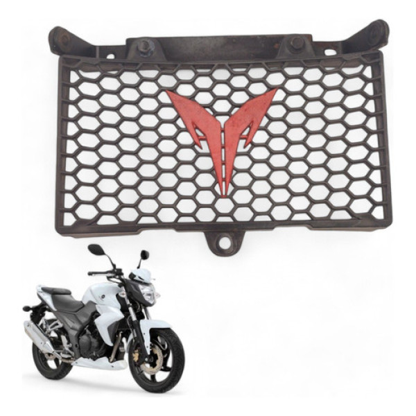 Grade Radiador Dafra Next 250 2013