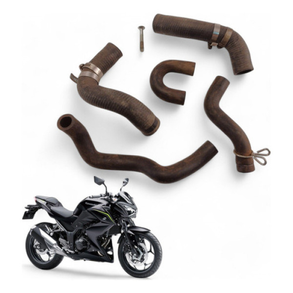 Kit Mangueiras Radiador Kawasaki Z300 2019