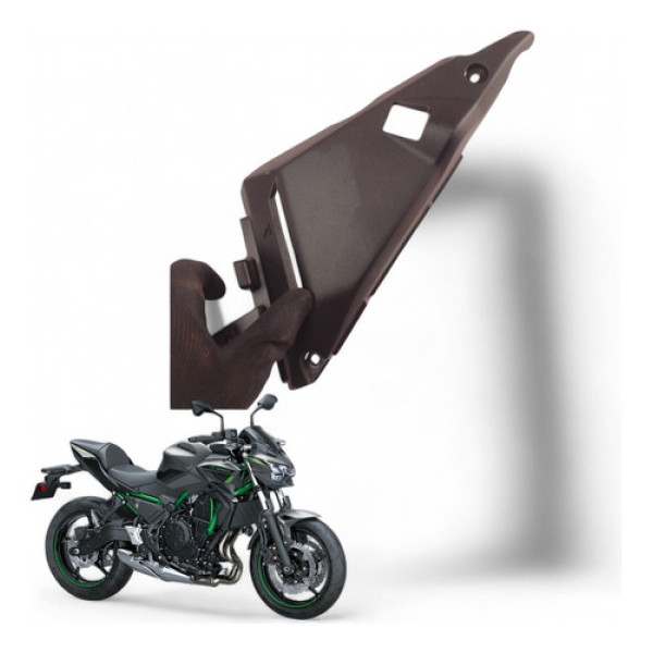 Acabamento Reservatório Água Kawasaki Z 650 2022