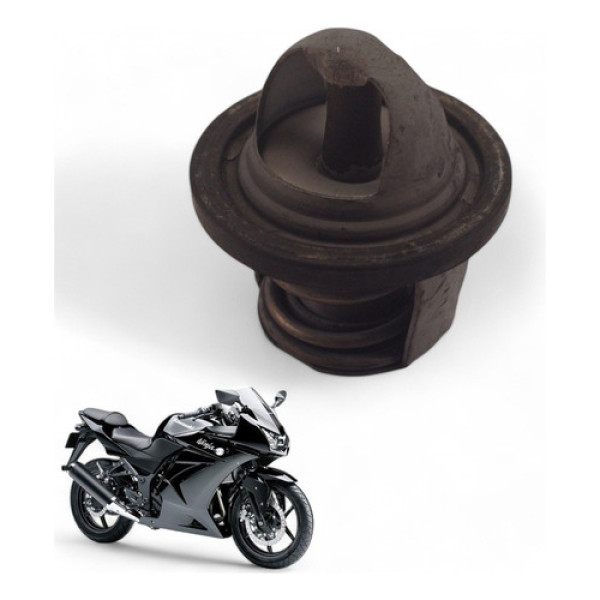 Válvula Termostática Kawasaki Ninja 250 R 2010