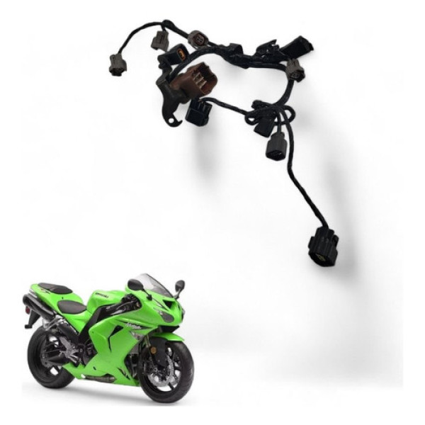 Chicote Bicos Alta Kawasaki Zx10r 2006