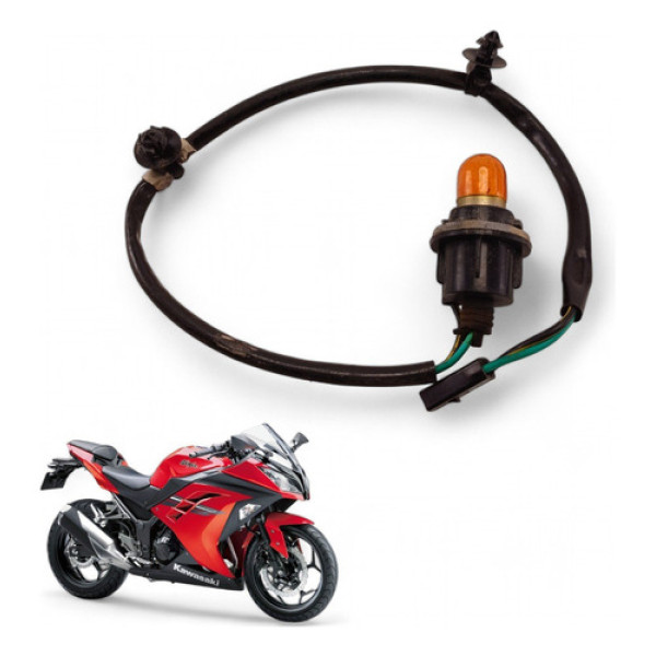 Chicote Pisca Dianteiro Kawasaki Ninja 300 2015