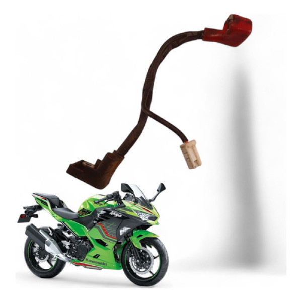 Cabo Positivo Kawasaki Ninja 400 2019