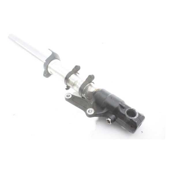 Bengala Lado Esquerdo Daytona 955