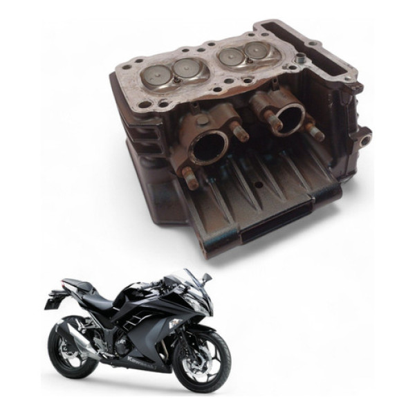 Cabeçote Kawasaki Ninja 300 2015