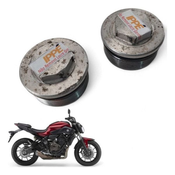 Tampa Bengala Yamaha Mt 07 Abs 2017