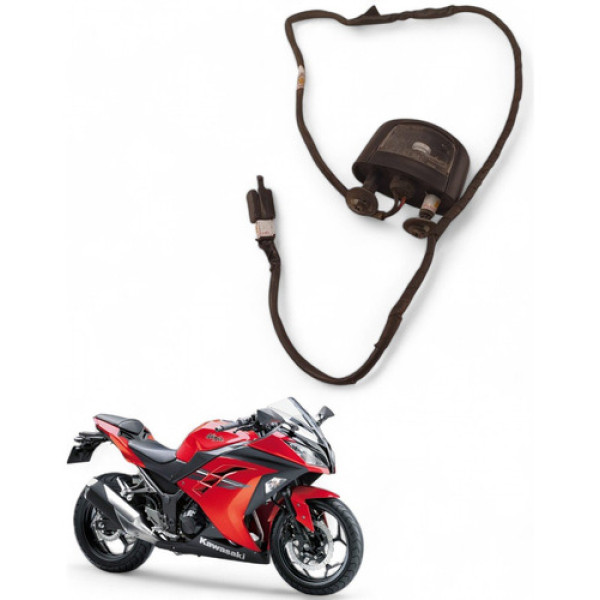 Luz Placa Kawasaki Ninja 300 2013