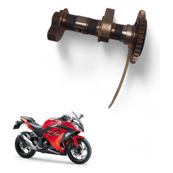 Contra Peso Kawasaki Ninja 300 2017