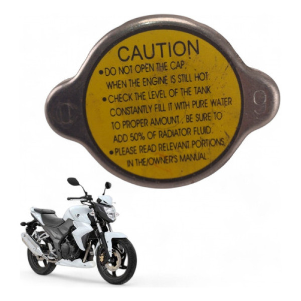 Tampa Radiador Dafra Next 250 2013