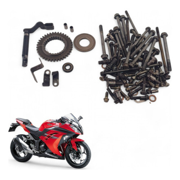 Kit Parafuso Motor Kawasaki Ninja 300 2014