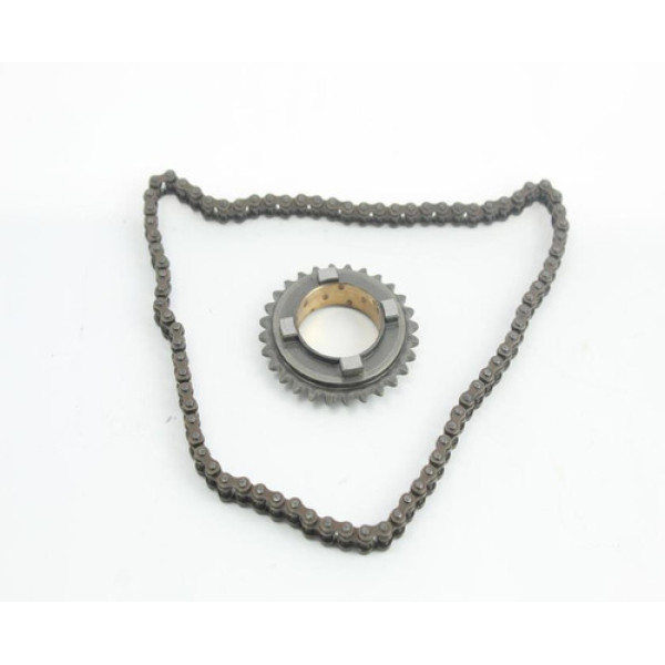 Corrente E Engrenagem Bomba Óleo Yamaha R1 (31)