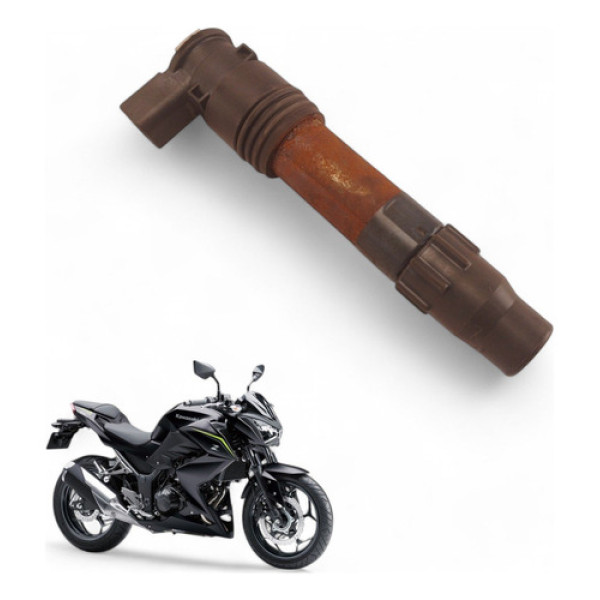 Bobina Ignição Kawasaki Z300 2019
