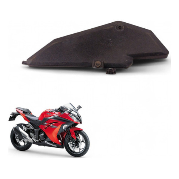 Acabamento Caixa Ar Kawasaki Z300 2016