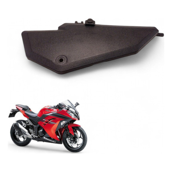 Acabamento Caixa Ar Kawasaki Ninja 300 2017