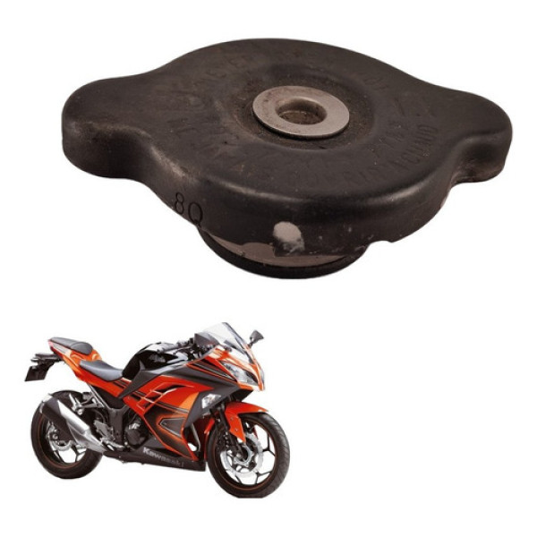 Tampa Radiador Kawasaki Ninja 300 2014