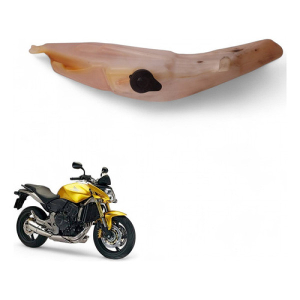 Reservatório Radiador Honda Hornet 2009