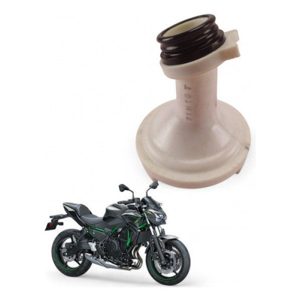 Pescador Óleo Kawasaki Z 650 2022