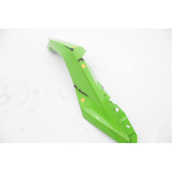 Carenagem Da  Rabeta L.d. Recuperada Kawasaki Ninja 300