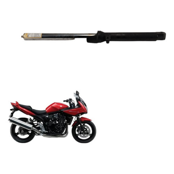 Bengala Esquerda Suzuki Bandit 650s 2008