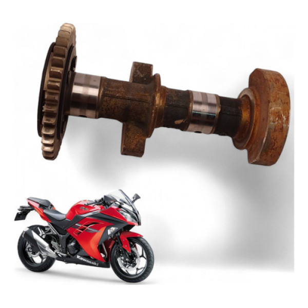 Balanceiro Kawasaki Ninja 300 2017