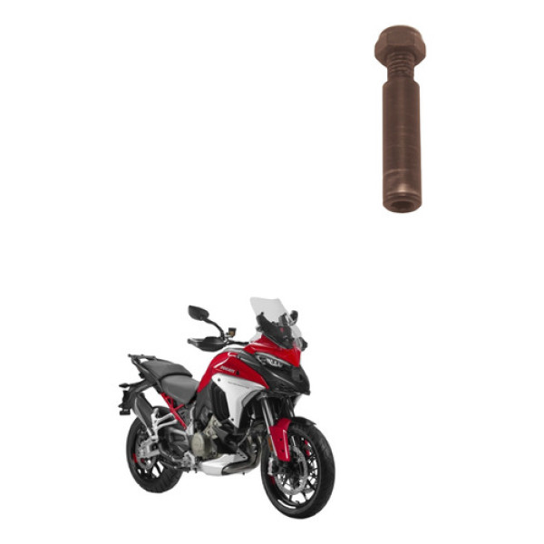 Parafuso Manete Embreagem Ducati Multistrada V4s V4