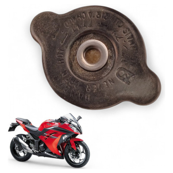 Tampa Radiador Kawasaki Ninja 300 2015