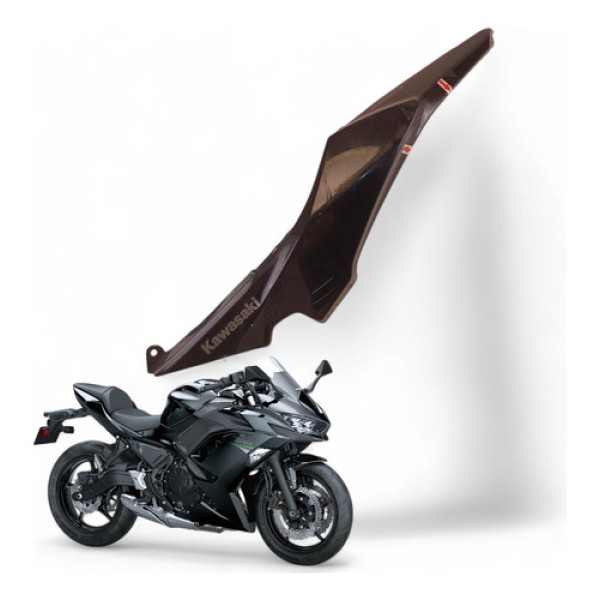Carenagem Rabeta Esquerda Kawasaki Ninja 650 2021 Com Avaria