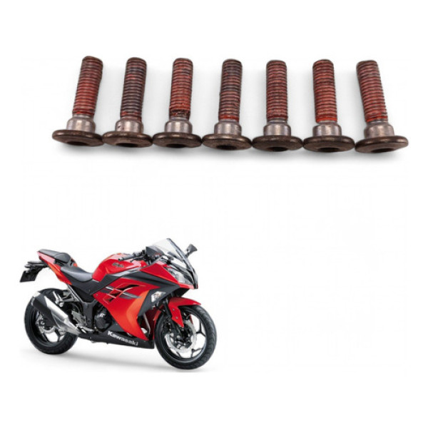 Kit Parafuso Disco Freio Dianteiro Kawasaki Z300 2016