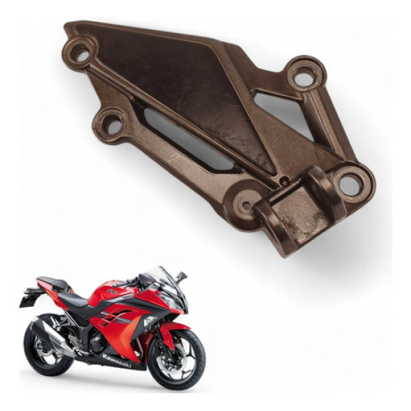 Bacalhau Dianteiro Direito Kawasaki Ninja 300 2013