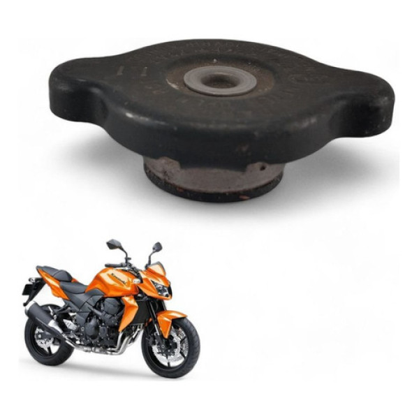 Tampa Radiador Kawasaki Z 750 2009