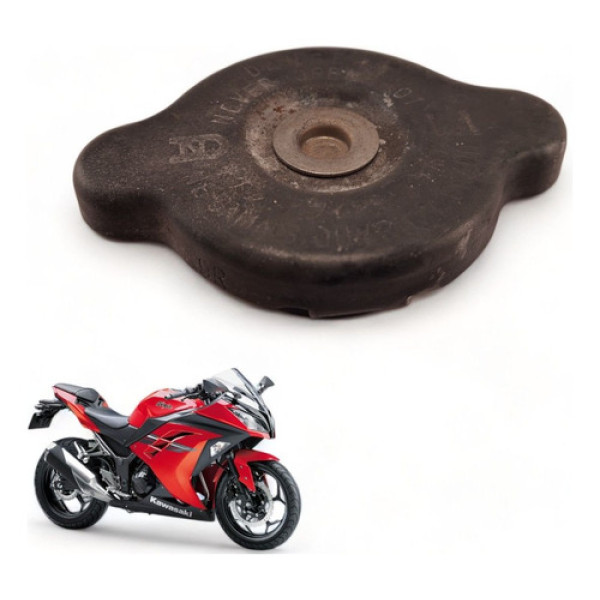 Tampa Radiador Kawasaki Ninja 300 2015