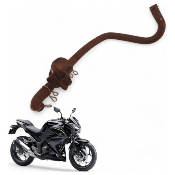 Válvula Per Kawasaki Z300 2019