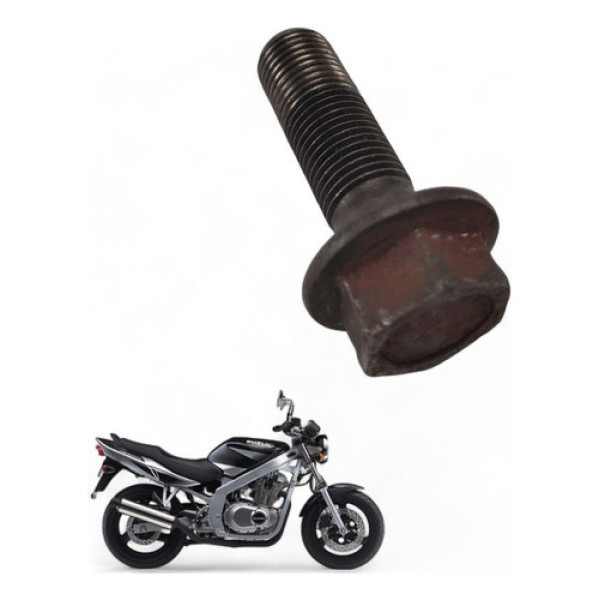 Parafuso Volante Magneto Suzuki Gs500 E 2005
