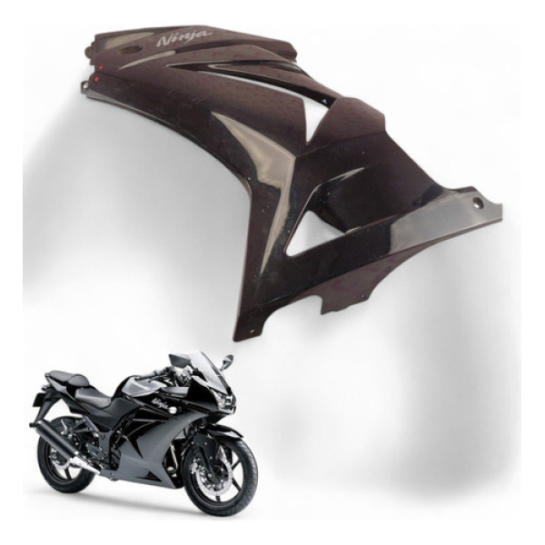 Carenagem Lateral Esquerda Kawasaki Ninja 250 R 2010 Com Ava