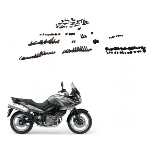 Kit Parafuso Chassi Suzuki Dl 650 V Strom 2012