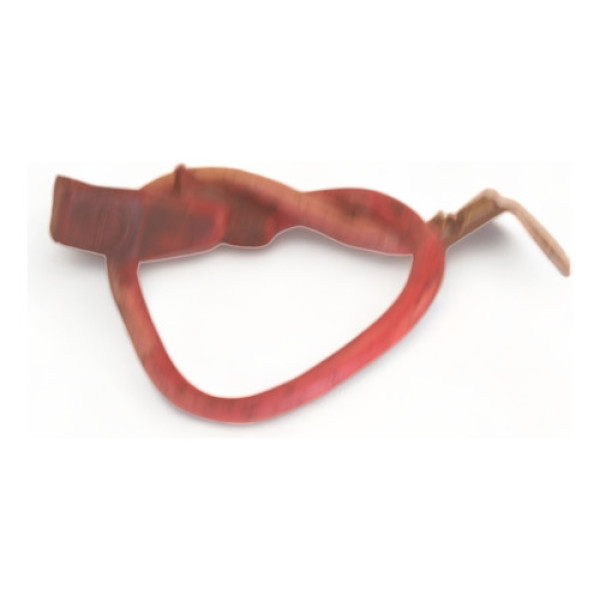 Cabo Positivo Triumph Daytona 675 2009 Triumph Daytona