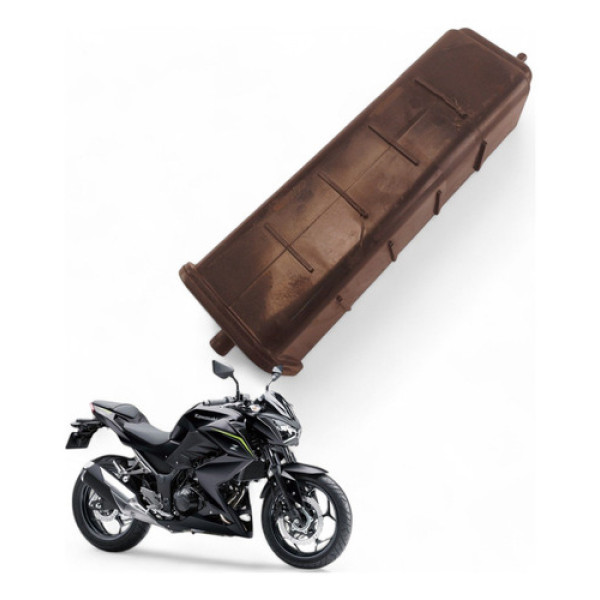 Reservatório Canister Kawasaki Z300 2019