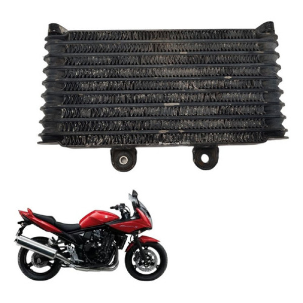 Radiador Oleo Suzuki Bandit 650s 2008